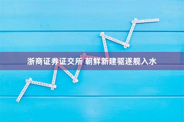 浙商证券证交所 朝鲜新建驱逐舰入水