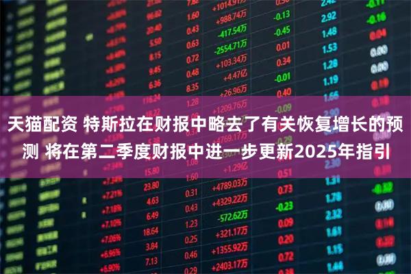 天猫配资 特斯拉在财报中略去了有关恢复增长的预测 将在第二季度财报中进一步更新2025年指引