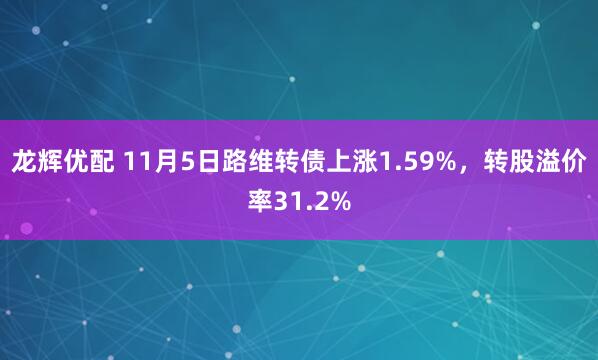 龙辉优配 11月5日路维转债上涨1.59%，转股溢价率31.2%