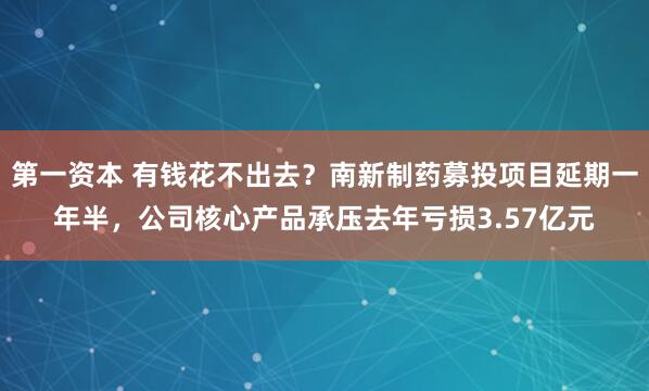 第一资本 有钱花不出去？南新制药募投项目延期一年半，公司核心产品承压去年亏损3.57亿元